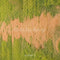 Kate Automne Herbe verte Chemin Sol Toile de fond conçue par Emetselch - Kate Backdrop FR