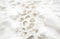 Kate Hiver Neige Pavés Chemin Sol Toile de fond conçue par Kate Image - Kate Backdrop FR