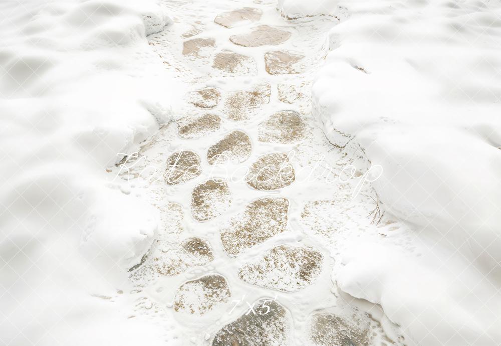 Kate Hiver Neige Pavés Chemin Sol Toile de fond conçue par Kate Image