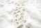 Kate Hiver Neige Pavés Chemin Sol Toile de fond conçue par Kate Image - Kate Backdrop FR