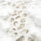 Kate Hiver Neige Pavés Chemin Sol Toile de fond conçue par Kate Image - Kate Backdrop FR