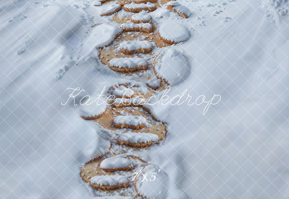 Kate Neige Chemin de Pierre Sol Toile de fond conçue par Kate Image