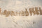 Kate Neige Plancher en Bois Sol Toile de fond conçue par Kate Image - Kate Backdrop FR