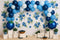 Kate Myrtille Ballons Arche Anniversaire Toile de fond conçue par Patty Roberts - Kate Backdrop FR