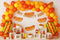 Kate Hot-dog Fête Ballons Arche Toile de fond conçue par Patty Roberts - Kate Backdrop FR