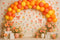 Kate Printemps Fleurs Orange Ballon Arche Toile de fond conçue par Patty Roberts - Kate Backdrop FR