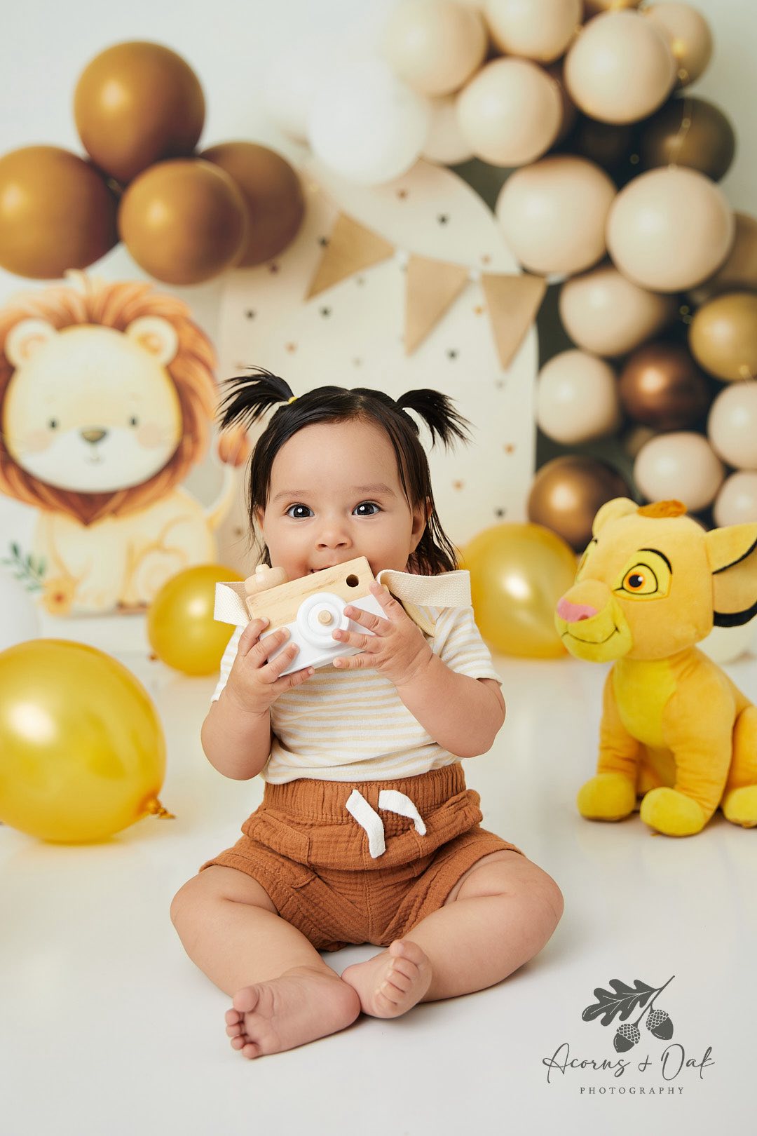 Kate Anniversaire Safari Lion Ballons Toile de fond conçue par Patty Roberts - Kate Backdrop FR