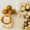 Kate Anniversaire Safari Lion Ballons Toile de fond conçue par Patty Roberts - Kate Backdrop FR