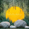 Kate Été Jungle Soleil Rochers Verdure Toile de fond conçue par Chain Photographie - Kate Backdrop FR