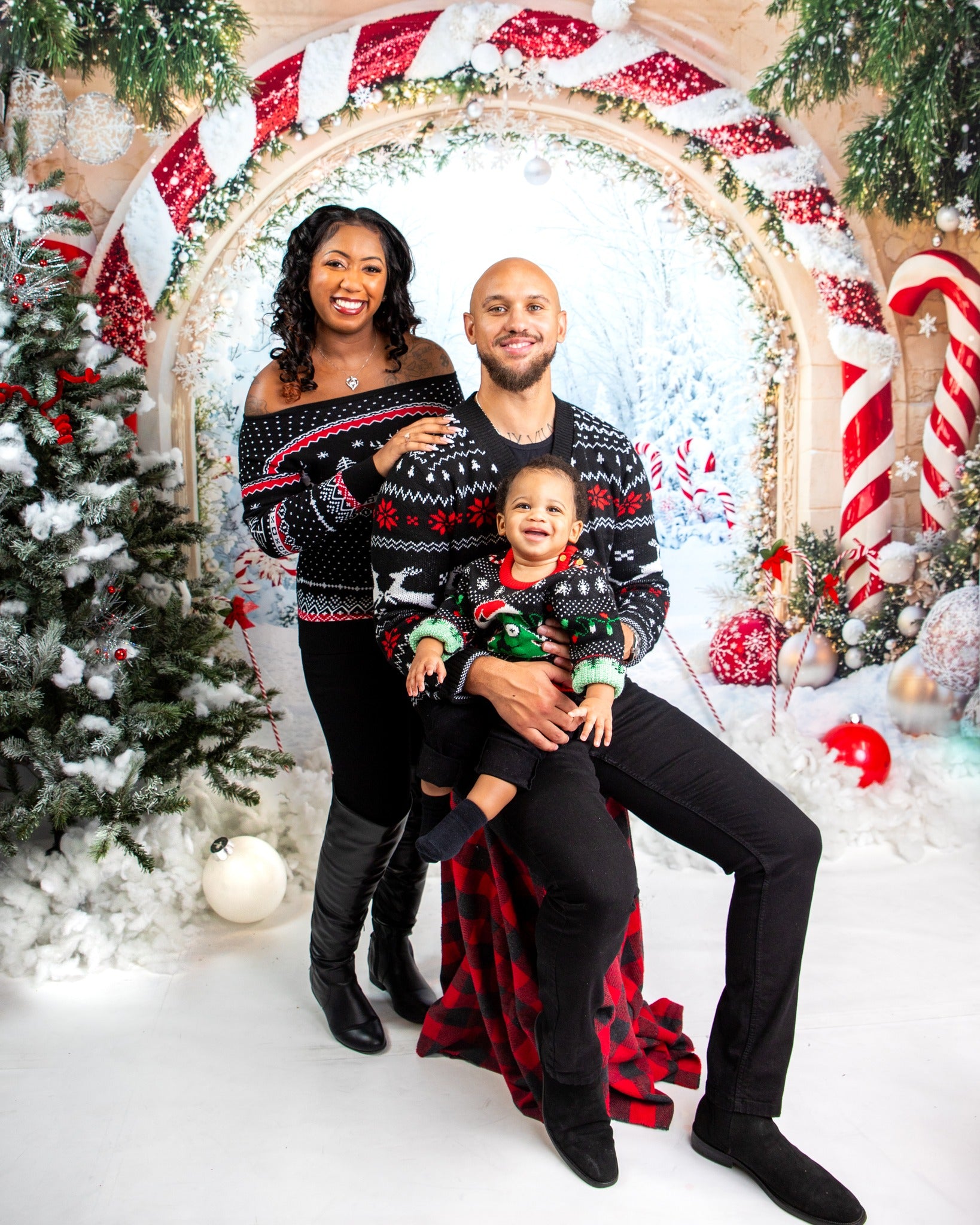 Kate Noël Arche Neige Ornements Toile de fond conçue par Emetselch - Kate Backdrop FR