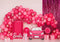 Kate Anniversaire Ballons Voiture Poupée Rose Toile de fond conçue par Patty Roberts - Kate Backdrop FR