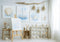 Kate Atelier d'Art Nautique Coquillage Toile de fond conçue par Patty Roberts - Kate Backdrop FR