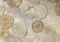Kate Bohème Tissé Cercles Sol Toile de fond conçue par Mini MakeBelieve - Kate Backdrop FR