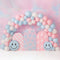 Kate Anniversaire Sourire Ballon Arche Rose Toile de fond conçu par Ashley Paul - Kate Backdrop FR