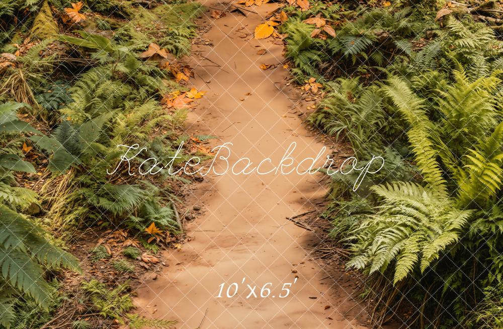 Kate Prairie Chemin Herbe Sol Toile de fond conçue par Emetselch - Kate Backdrop FR