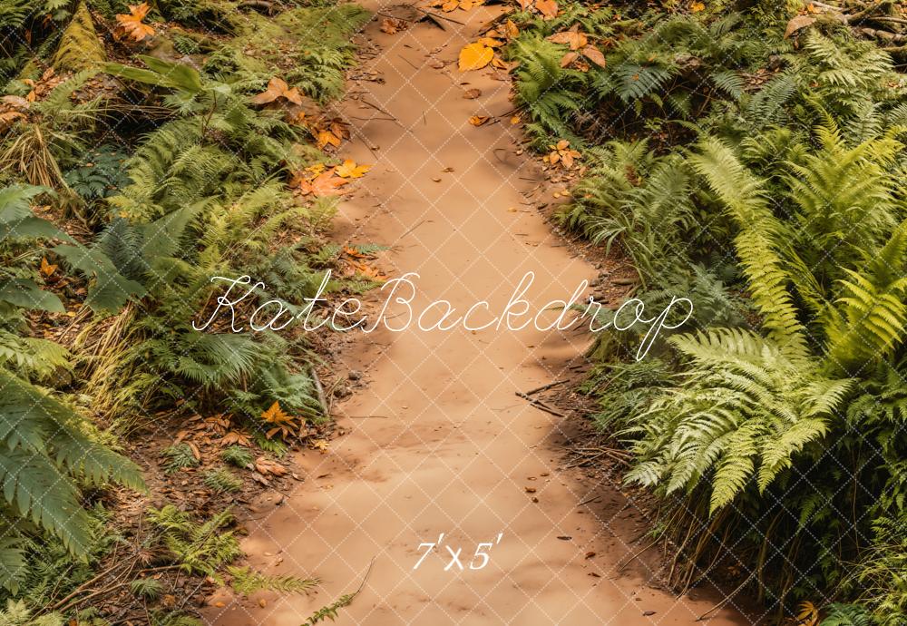 Kate Prairie Chemin Herbe Sol Toile de fond conçue par Emetselch - Kate Backdrop FR