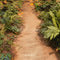 Kate Prairie Chemin Herbe Sol Toile de fond conçue par Emetselch - Kate Backdrop FR