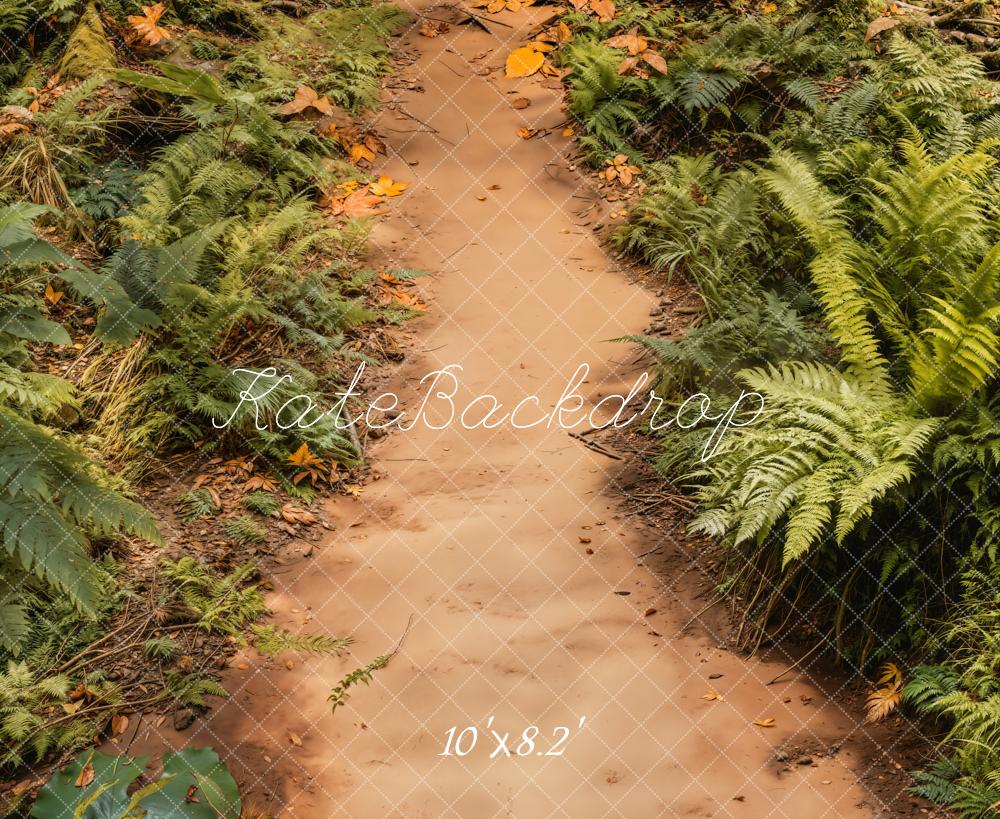 Kate Prairie Chemin Herbe Sol Toile de fond conçue par Emetselch - Kate Backdrop FR