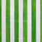 Kate Noël Sol rayé Vert et Blanc Toile de fond conçue par Mini MakeBelieve - Kate Backdrop FR
