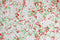 Kate Noël Bonbons Sol Toile de fond conçue par Mini MakeBelieve - Kate Backdrop FR