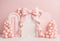 Kate Anniversaire Nœud Rose Ballon Arche Toile de fond conçu par Ashley Paul - Kate Backdrop FR
