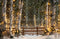 Kate Hiver Forêt Lumières Clôture en bois Toile de fond conçue par Emetselch - Kate Backdrop FR