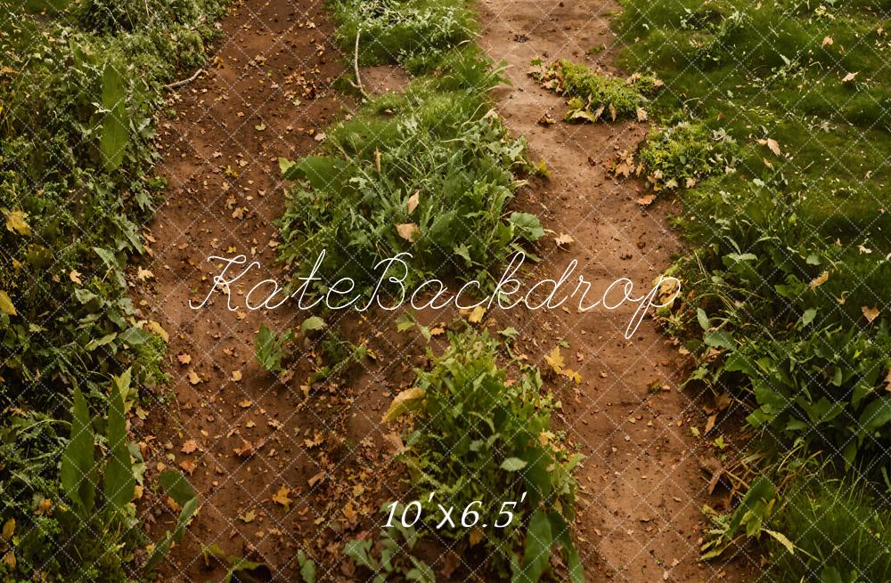 Kate Forêt Chemin Herbe verte Sol Toile de fond conçue par Emetselch - Kate Backdrop FR