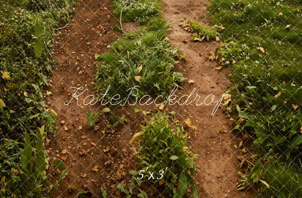 Kate Forêt Chemin Herbe verte Sol Toile de fond conçue par Emetselch - Kate Backdrop FR