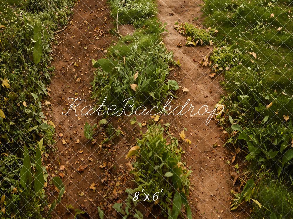 Kate Forêt Chemin Herbe verte Sol Toile de fond conçue par Emetselch - Kate Backdrop FR