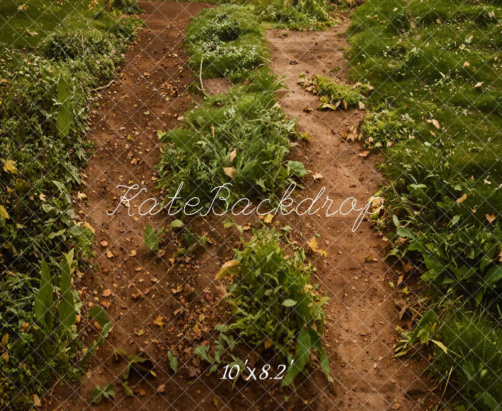 Kate Forêt Chemin Herbe verte Sol Toile de fond conçue par Emetselch - Kate Backdrop FR