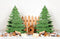 Kate Hiver Sapin de Noël Clôture en Bois Toile de fond conçue par Emetselch - Kate Backdrop FR