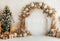 Kate Sapin de Noël Doré Bohème Arche Cadeaux Toile de fond conçue par Emetselch - Kate Backdrop FR