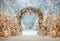 Kate Hiver Sapin de Noël Neige Arche Lumière Toile de fond conçue par Emetselch - Kate Backdrop FR