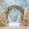 Kate Hiver Sapin de Noël Neige Arche Lumière Toile de fond conçue par Emetselch - Kate Backdrop FR