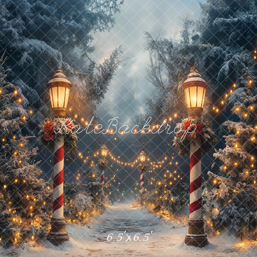 Kate Noël Hiver Forêt Lumières Nuit Toile de fond conçue par Emetselch