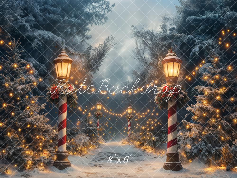 Kate Noël Hiver Forêt Lumières Nuit Toile de fond conçue par Emetselch
