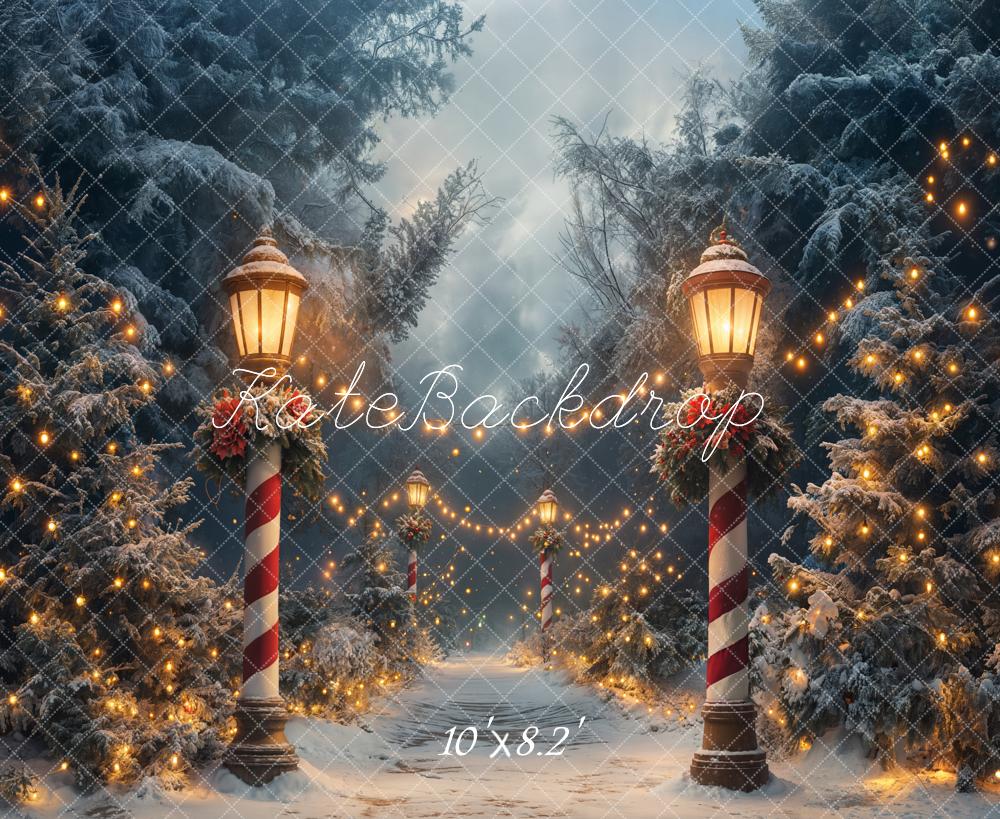 Kate Noël Hiver Forêt Lumières Nuit Toile de fond conçue par Emetselch