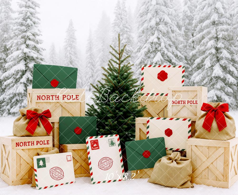 Kate Noël Forêt Pôle Nord Lettres Neige Toile de fond conçue par Patty Roberts