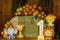 Kate 1er anniversaire Jungle Safari Animaux Toile de fond conçue par Patty Roberts - Kate Backdrop FR