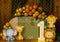 Kate 1er anniversaire Jungle Safari Animaux Toile de fond conçue par Patty Roberts - Kate Backdrop FR