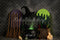 Kate Halloween Sorcière Chaudron Balai Magie Toile de fond conçue par Patty Roberts - Kate Backdrop FR