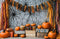 Kate Halloween Toile d'araignée Citrouille Toile de fond conçue par Emetselch - Kate Backdrop FR