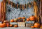 Kate Halloween Toile d'araignée Citrouille Toile de fond conçue par Emetselch - Kate Backdrop FR