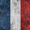 Kate Fête Nationale Française Mur de briques Toile de fond conçue par Emetselch - Kate Backdrop FR