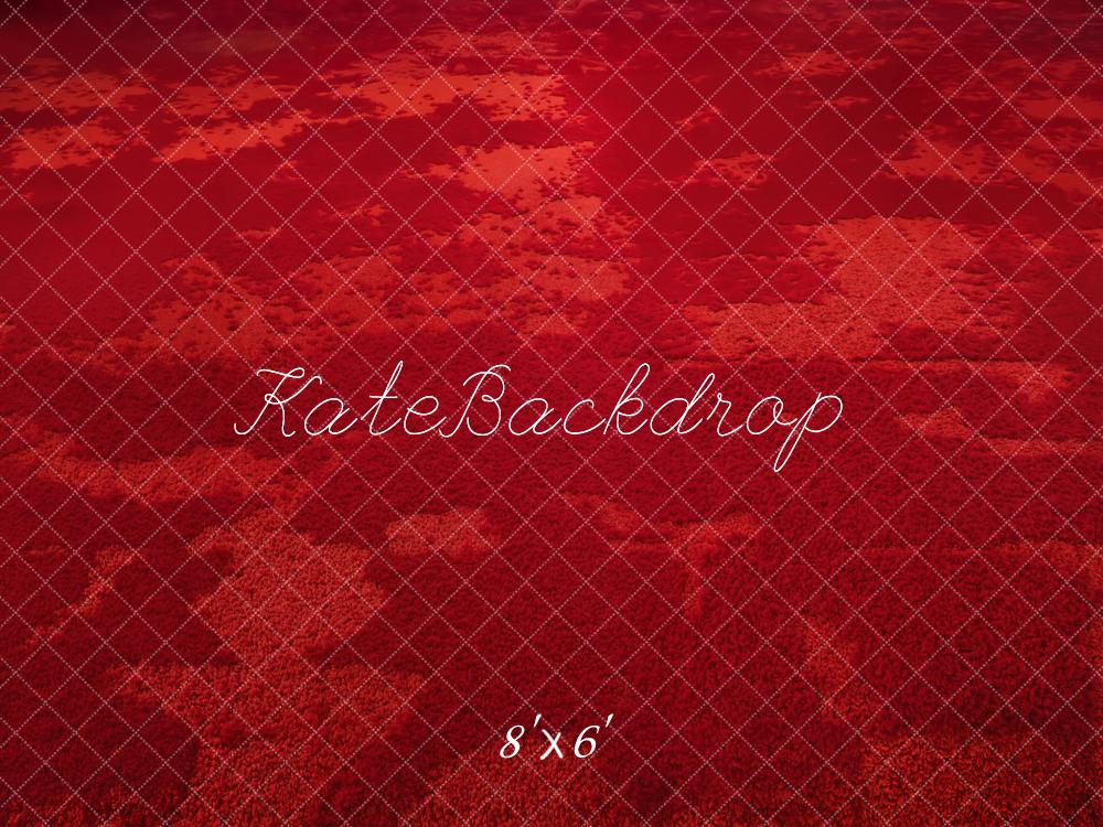 Kate Rouge Abstrait Sol Toile de fond conçue par Emetselch - Kate Backdrop FR