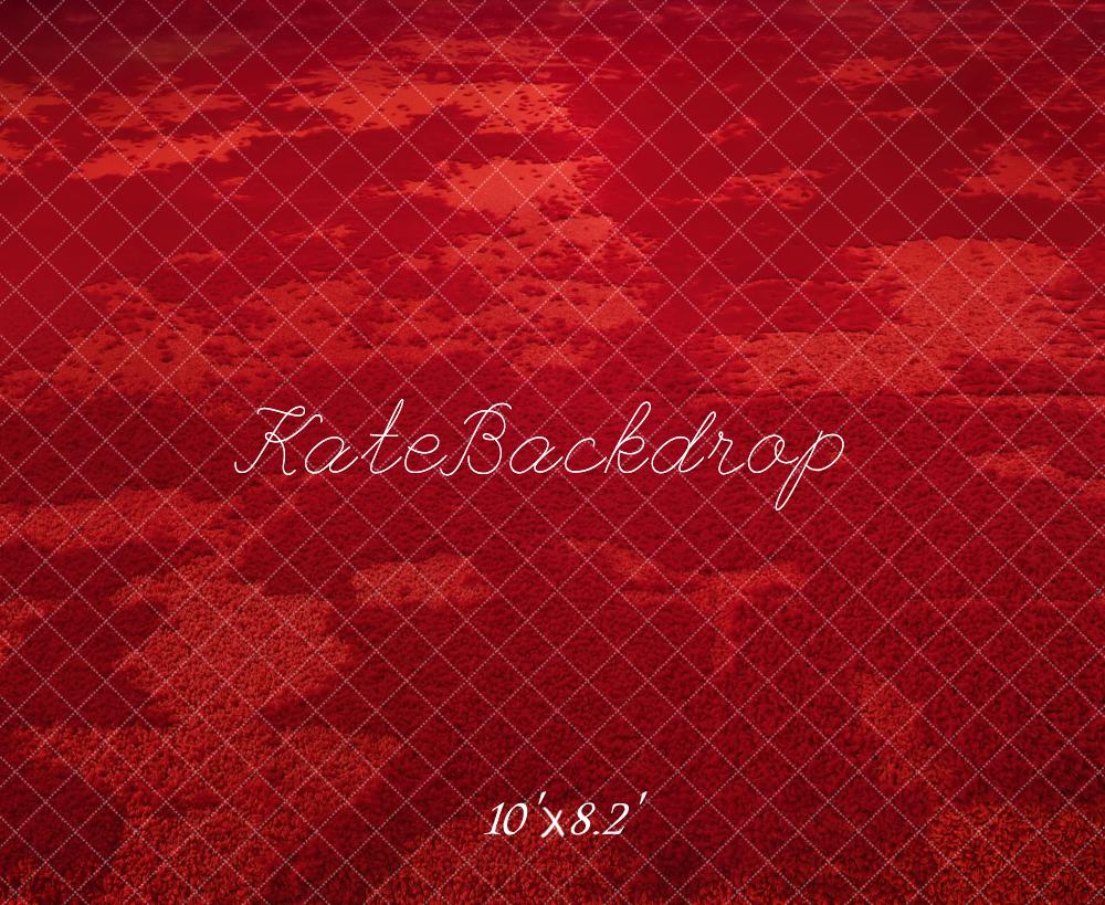 Kate Rouge Abstrait Sol Toile de fond conçue par Emetselch - Kate Backdrop FR