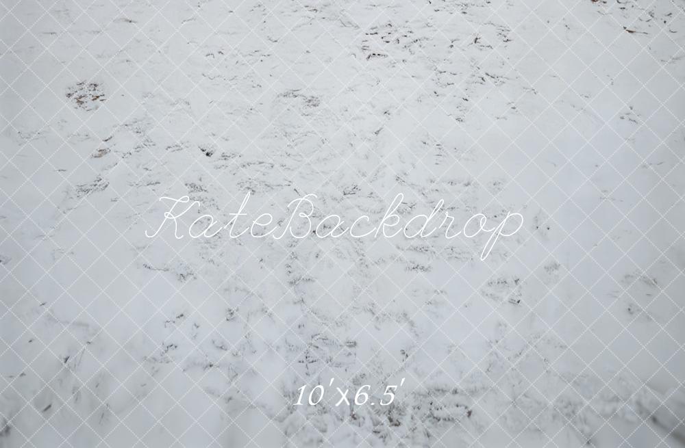 Kate Hiver Neige Blanc Sol Toile de fond conçue par Emetselch - Kate Backdrop FR