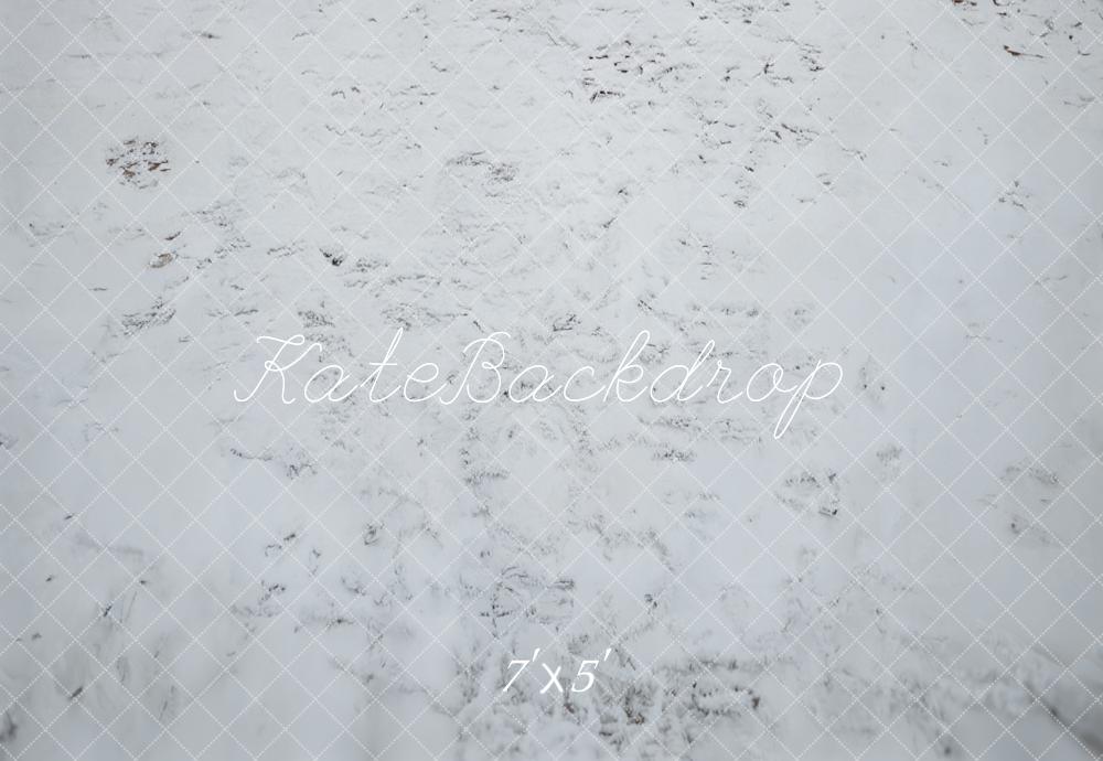 Kate Hiver Neige Blanc Sol Toile de fond conçue par Emetselch - Kate Backdrop FR