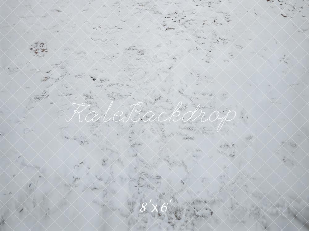 Kate Hiver Neige Blanc Sol Toile de fond conçue par Emetselch - Kate Backdrop FR