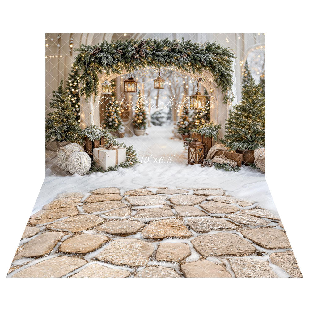 Kate Noël Arche Neige Arbres Lumière Toile de fond+Hiver Pierres Neige Sol Toile de fond